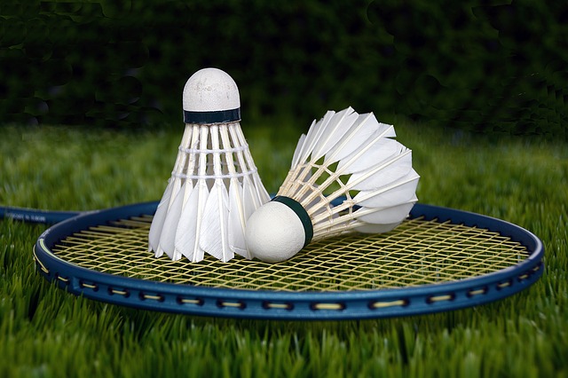Síť na badminton